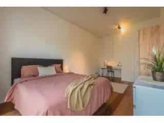 Appartement in medehuur Brussel - Kamer 11m² - Nabij Bois de la Cambre