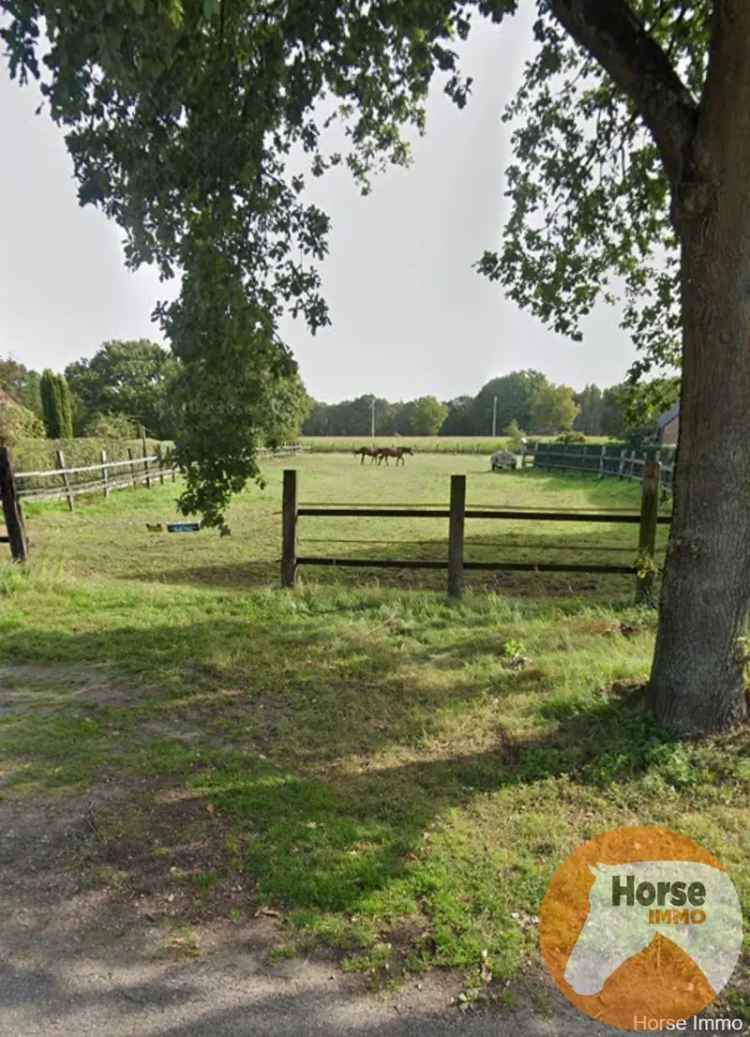 Bouwgrond kopen in Zonhoven met weiland voor dieren