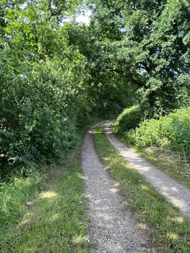 Agrarische Grond te Koop in Schaffen Diest 3ha 72a 90ca
