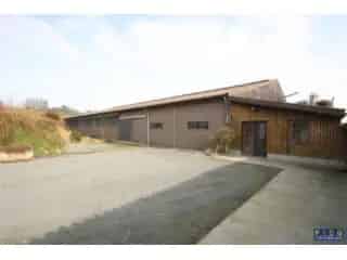 Boerderij 1200m² te koop - Frasnes-lez-Buissenal