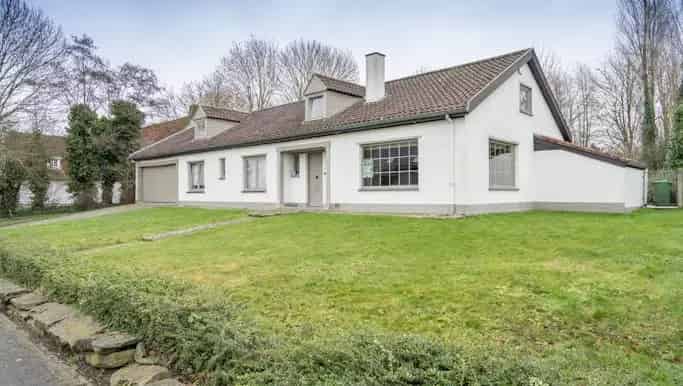 Villa te renoveren 285m² 1697m² grond Lauwe