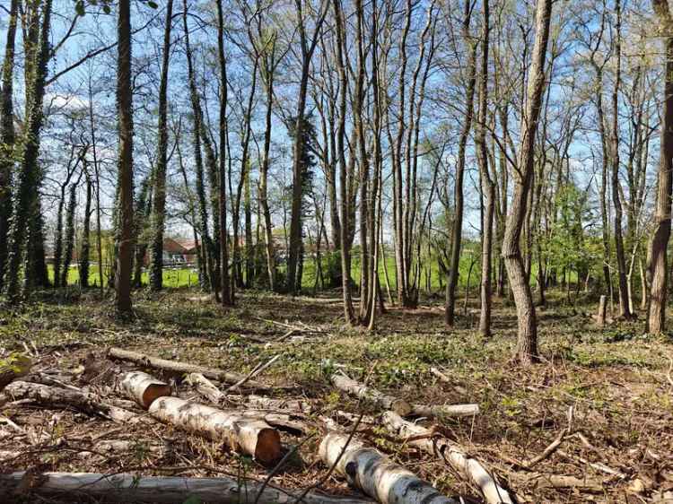 Recreatiegrond Zonnebeke: Rustig gelegen bouwgrond voor tiny houses