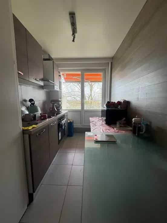 Appartement Te Koop Renovatieplicht Onbekend