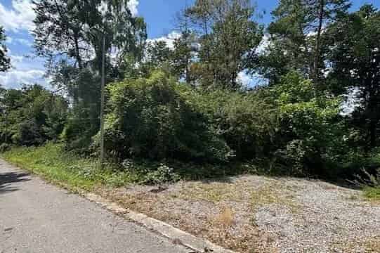 Bouwgrond Te Pelt 3261m² Bosrijke Omgeving