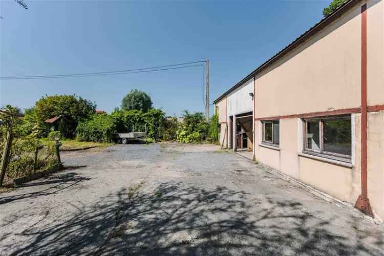 Bouwgrond met loods/atelier (190 m²) in Ellezelles.