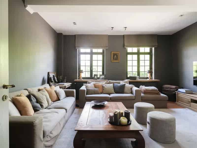 Kasteel te koop in Zingem: 5 slaapkamers, zwembad en 4577m² grond