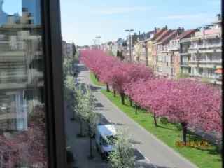 Appartement te koop Sint-Lambrechts-Woluwe 100m² 2 slaapkamers