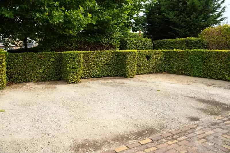 Buitenstaanplaats te Huur Westerlo