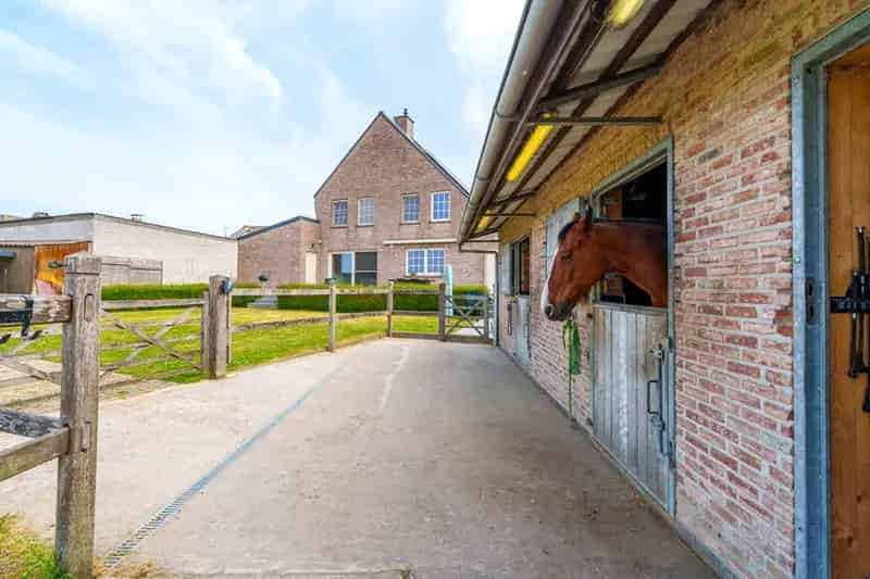 Villa te huur met weide stallen en piste Lichtervelde