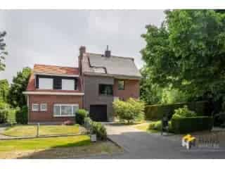 Huis te Koop Kapellen 5 slaapkamers 236m²