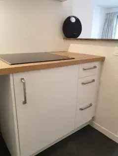 Geheel gerenoveerd studio appartement Maaszicht