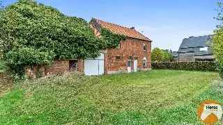 Te koop fermette in Holsbeek met renoveren woning en weiland