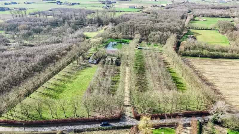 Luxe Villa te Koop in Dentergem