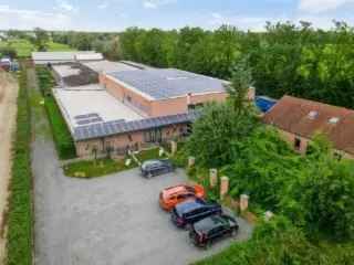 Handelspand te huur Kasterlee - 2930m² met 320 hokken