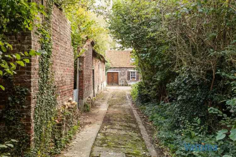 Charmant hoevetje met schuur in een groene oase