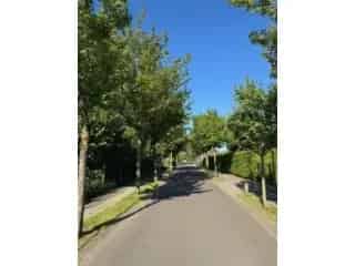 Olea Woningen Olen: Ruime, duurzame huizen te koop