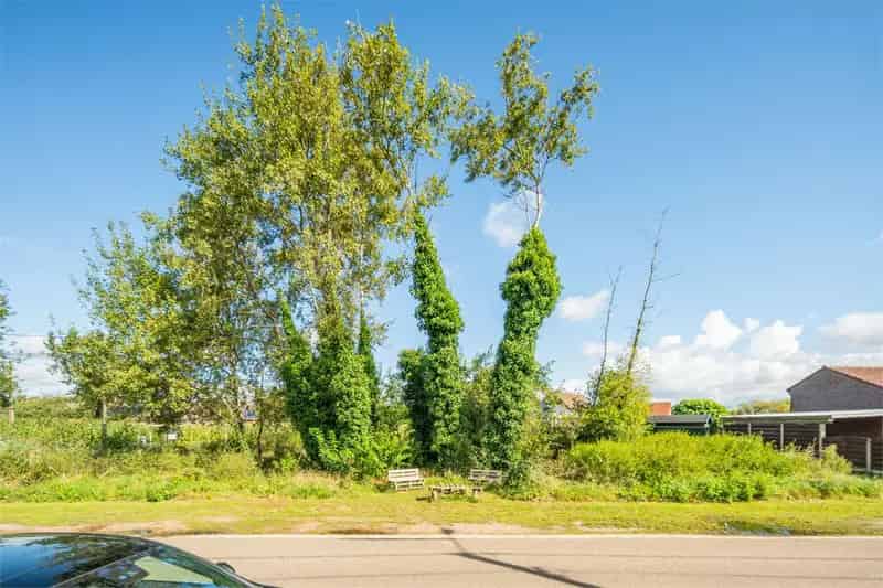 Bouwkavel te Holheide Pelt 9a 51ca