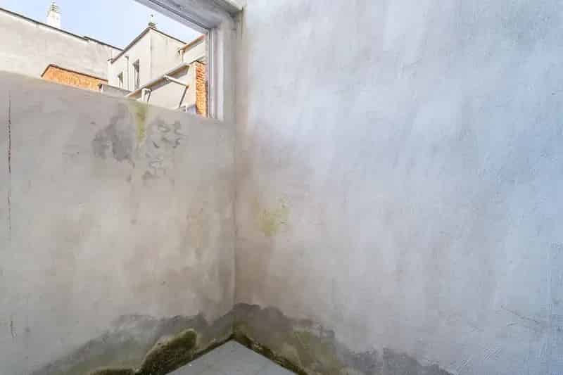 Statige Woning Met Koer