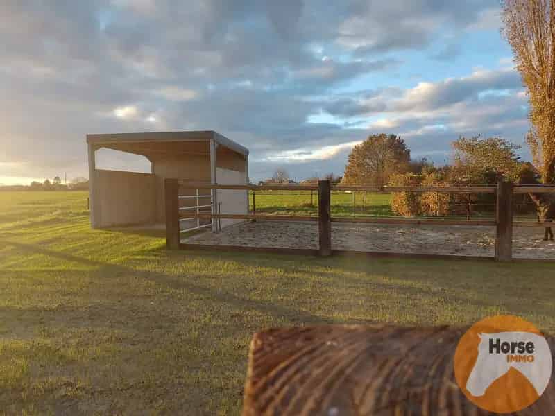 Grond te huur Lede: Weide met Stalgebouw voor Paarden