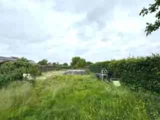 Huis te koop Anzegem 3 slaapkamers tuin