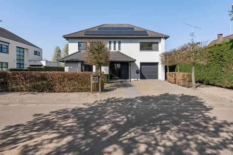 Villa te Hoogstraten 3-5 slaapkamers 890m² tuin