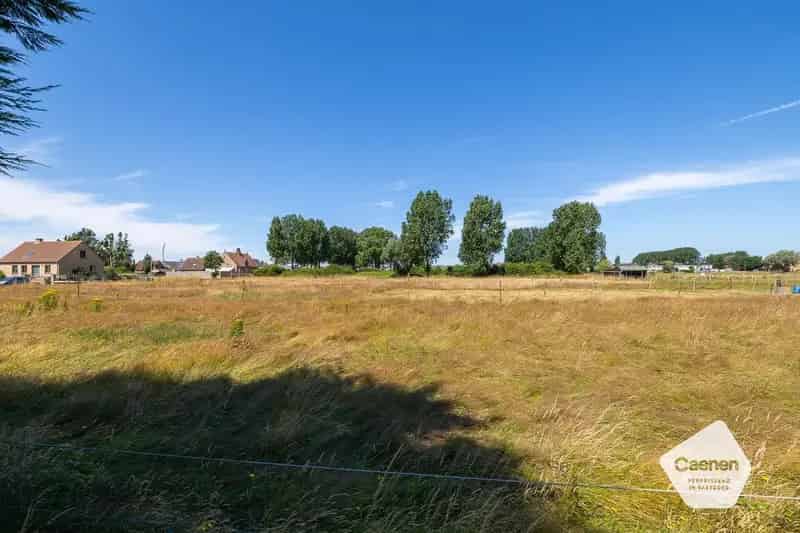 Renovatieproject aan natuurgebied