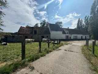 Boerderij - hoeve te koop - Koolkerke RBR56350