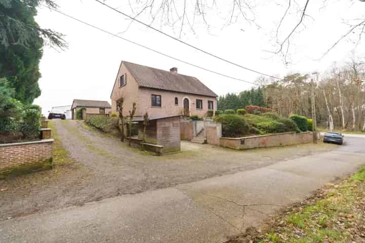 Ruime Open Bebouwing Langdorp 3 Verdiepingen Grote Kelder