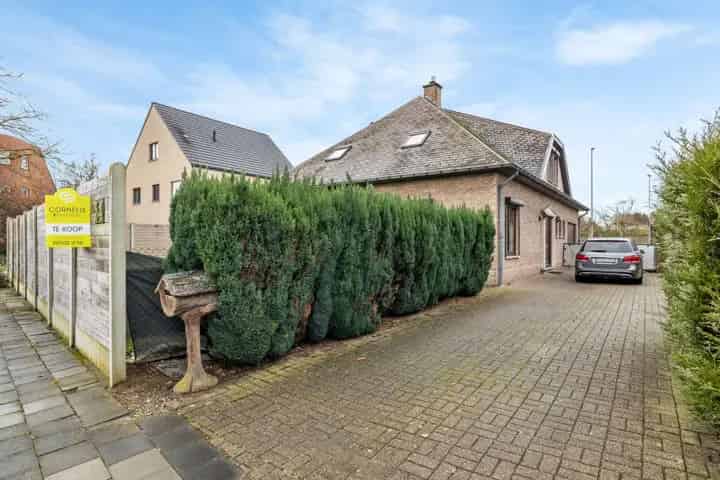 Huis te koop Zelzate 7 slaapkamers