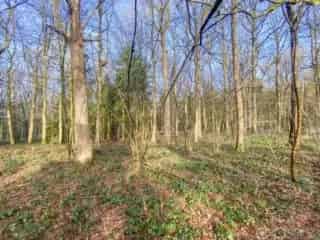 Bouwgrond Brûly-de-Pesche 34 are
