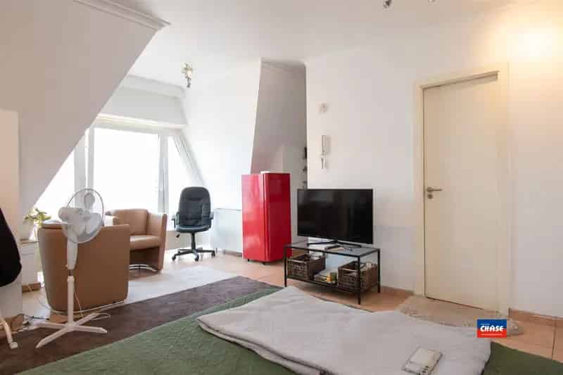 Appartement te huur Antwerpen Centrum - Het Steen