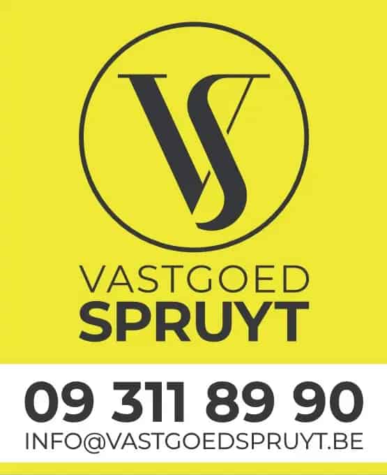 Lichtrijk Dakappartement Gent 1 Slaapkamer Terras Coupurezicht