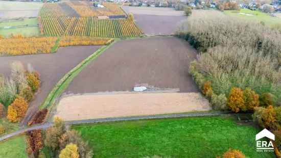 Te koop landbouwgrond in Rapertingen met agrarische bestemmingen