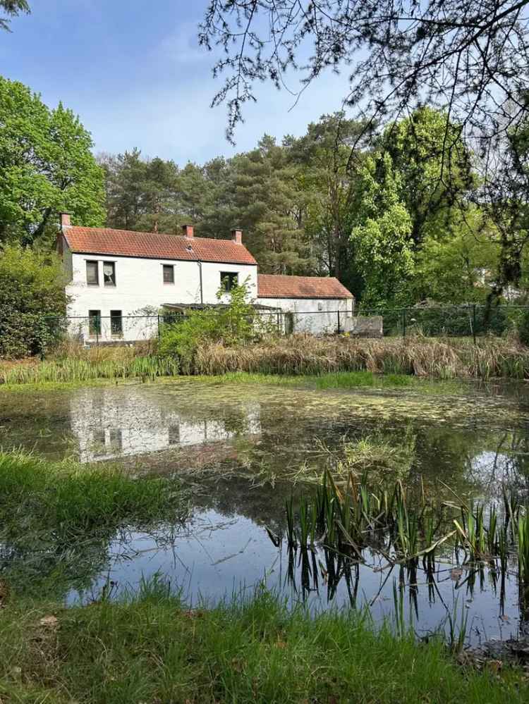 Huis te koop: Domein met Landhuis en Boerderij