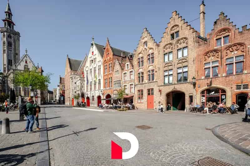Huis te koop Brugge: Historische Burgerwoning Jan Van Eyckplein