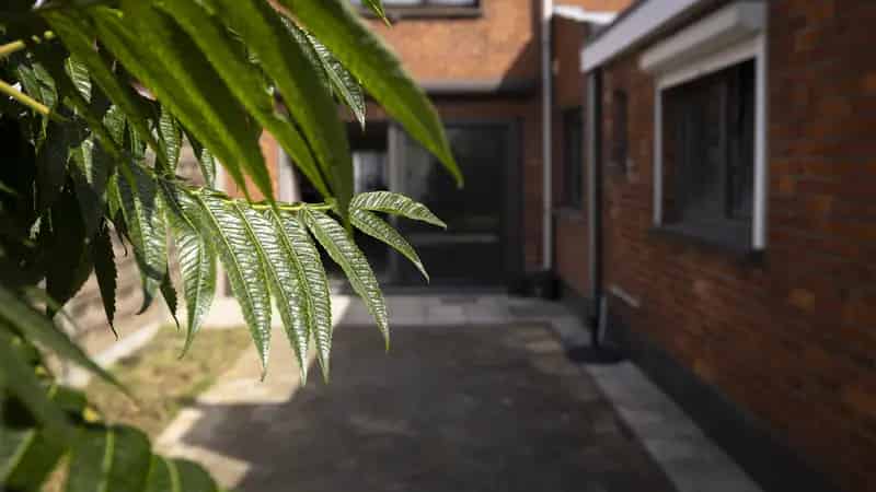 Huis te koop Assenede 3 slaapkamers zonnige tuin