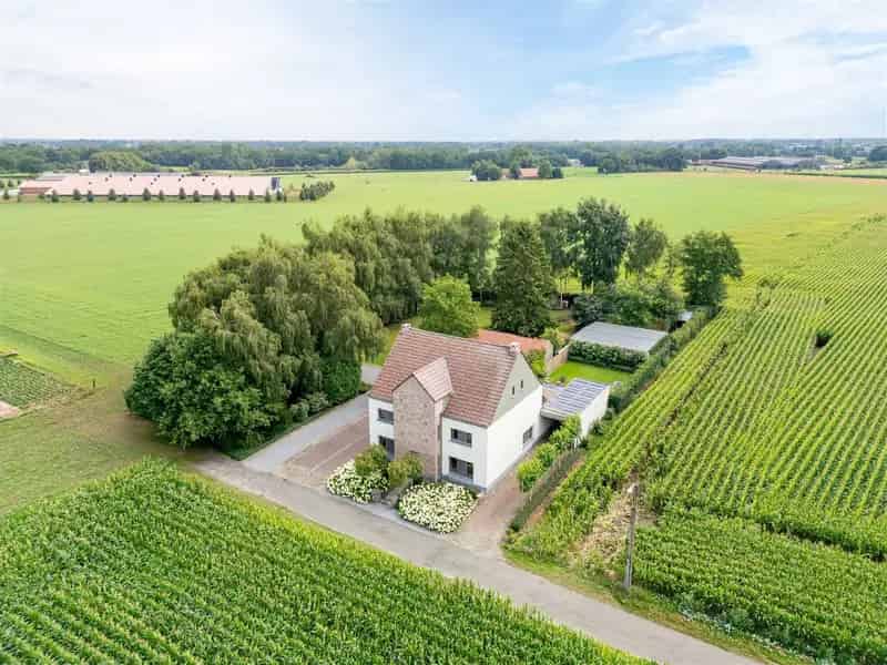 Twee gezinswoningen Molenbeersel Instapklaar Goede energielabels