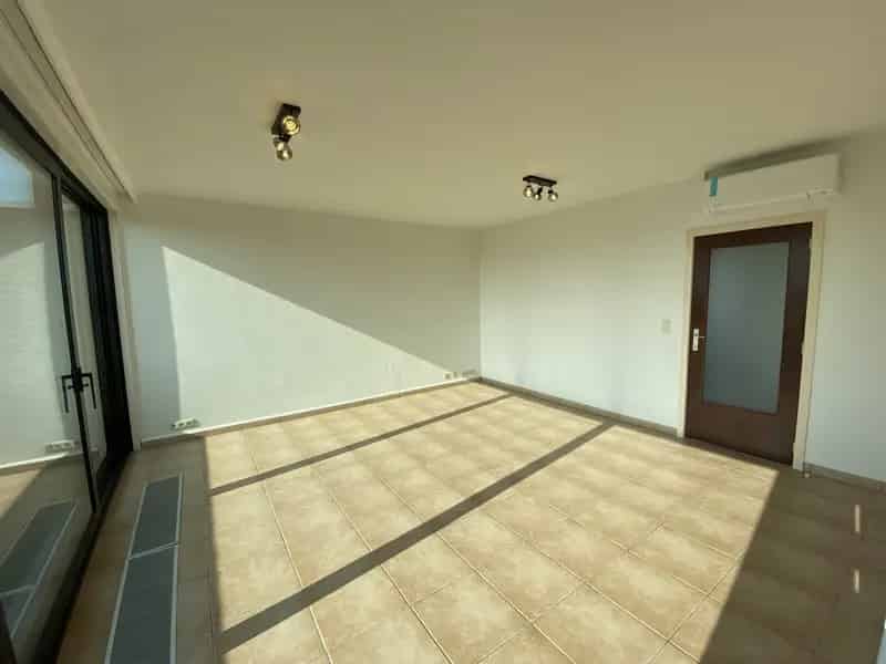 Gerenoveerd Dakappartement Met Terras Rustig Gelegen