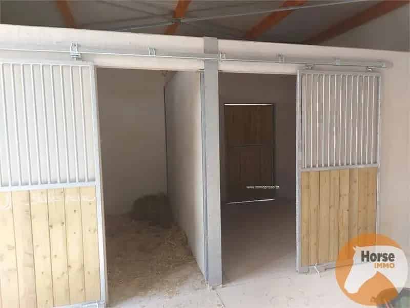 Recreatiegrond Lede: Weide met Stalgebouw voor Paarden of Opslag