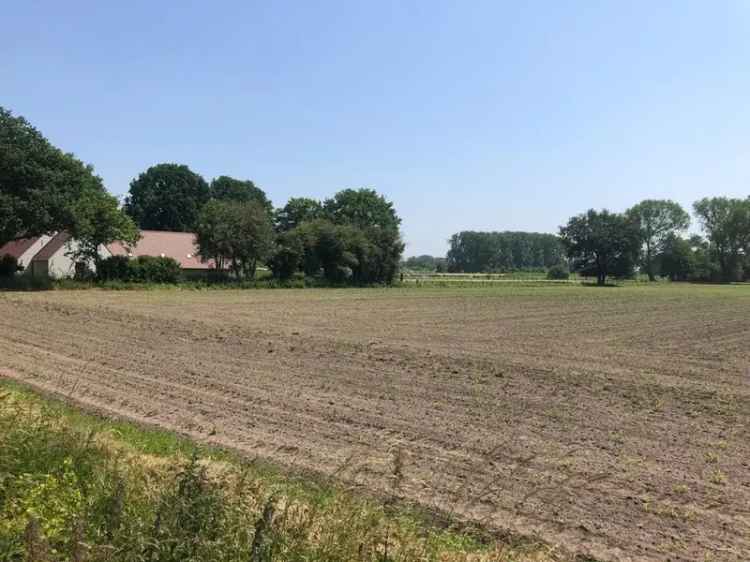 Grond te huur in Nieuwpoortstraat met zicht op agrarisch gebied