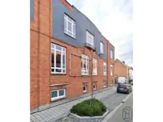 Loft te Koop Ruien 244m2 Terras Veel Potentieel