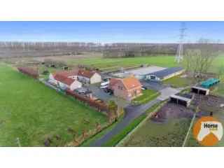 Huis gemengd gebruik te koop Damme Paardeneigendom B&B