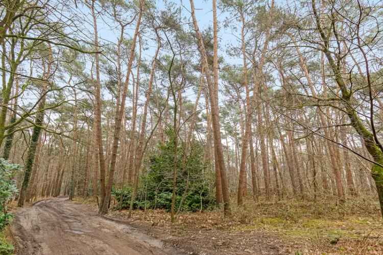 Grond te huur bosperceel nabij Lichtaart met prachtige natuur