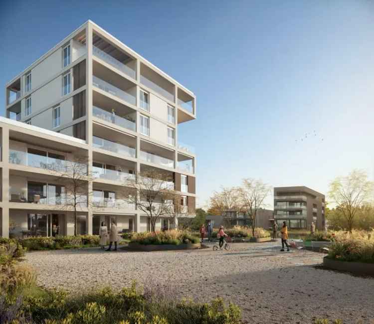 Penthouse te koop in Maasmechelen – Groep N