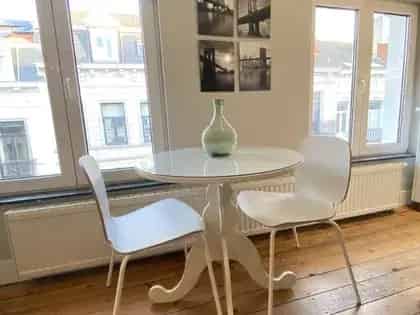 Gemeubileerd Studio Appartement Brussel Centrum