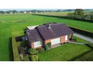 Fermette te koop Wuustwezel 4 slaapkamers 3147m²