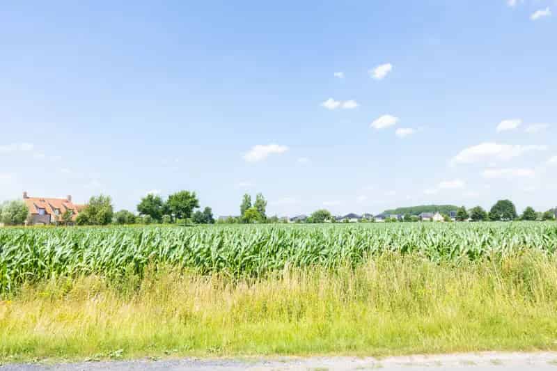 Grond te koop met verkavelingsvergunning Petegem-aan-de-Leie