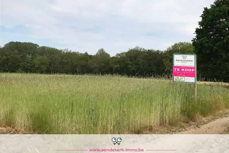 Landbouwgrond 3219m2 Molenbeersel