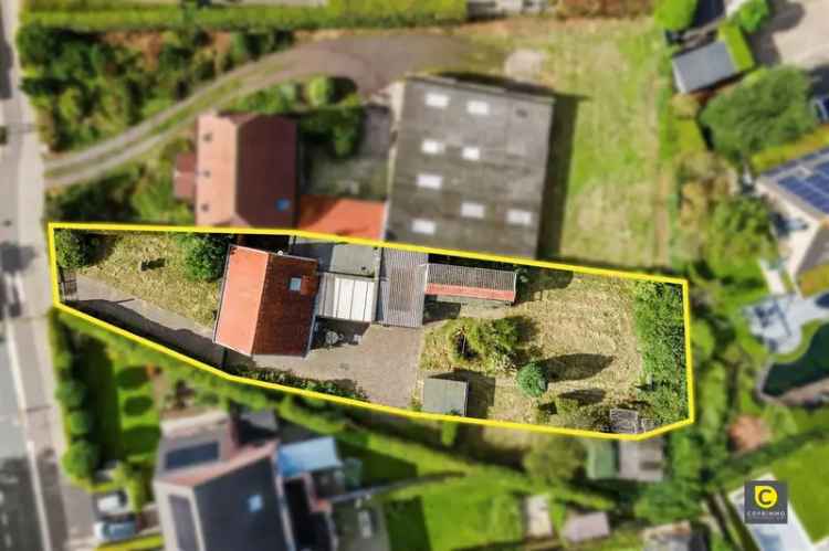 Huis te koop Edegem: Renovatieproject met grote tuin