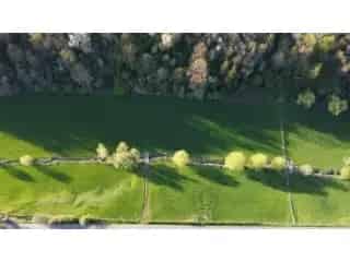 Grond te koop Olne 11090m²  - Weilanden en bossen